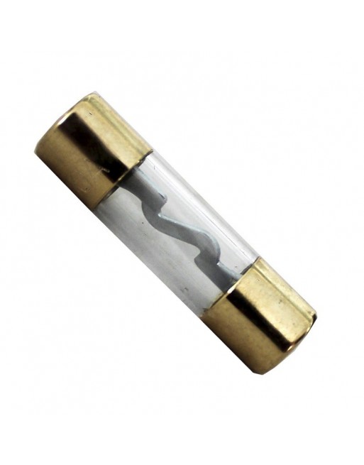 Fusible AGU Oro 100A