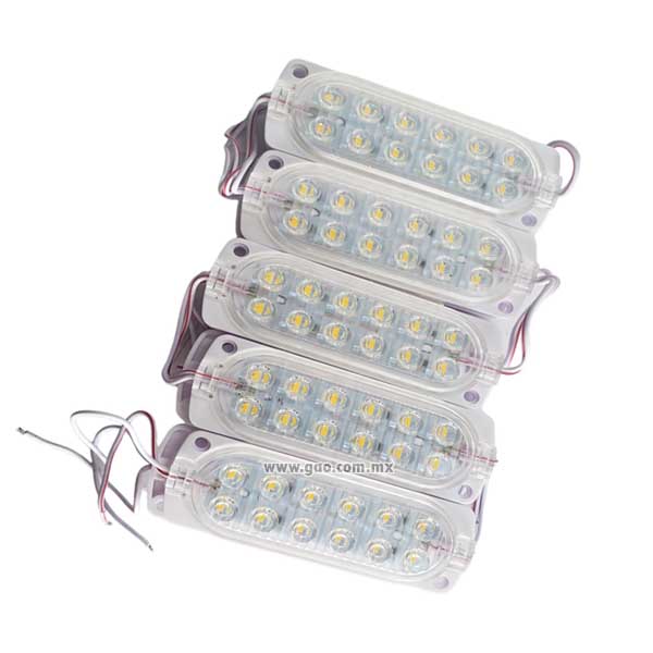 Modulo de 12 leds con lupa, Blanco